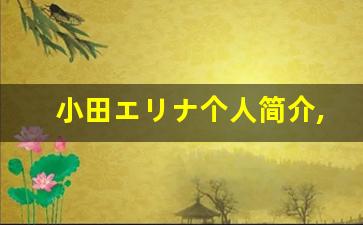 小田エリナ个人简介,小田エリナ个人作品大全