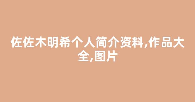 佐佐木明希个人简介资料,作品大全,图片