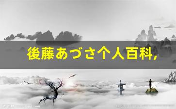 後藤あづさ个人百科,後藤あづさ作品大全