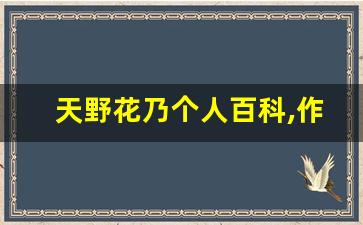 天野花乃个人百科,作品资料