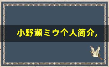 小野瀬ミウ个人简介,小野瀬ミウ个人作品大全