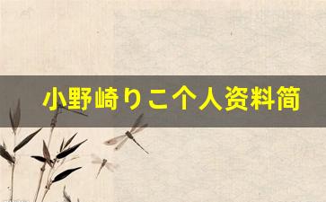 小野崎りこ个人资料简介,小野崎りこ作品大全
