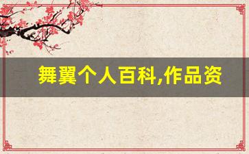 舞翼个人百科,作品资料