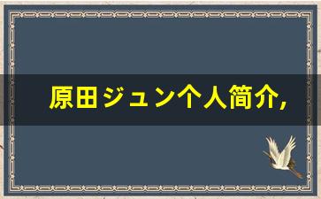 原田ジュン个人简介,艺术作品大全