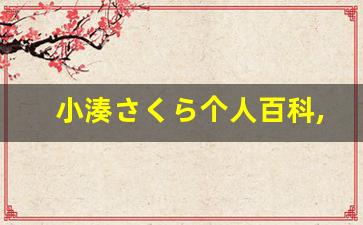 小湊さくら个人百科,小湊さくら作品大全