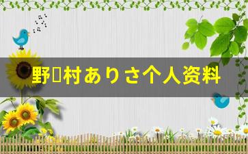 野々村ありさ个人资料简介,野々村ありさ作品大全