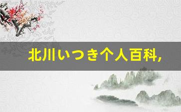 北川いつき个人百科,北川いつき作品大全