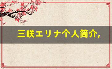 三咲エリナ个人简介,艺术作品