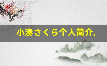 小湊さくら个人简介,小湊さくら个人作品大全