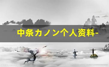 中条カノン个人资料-作品