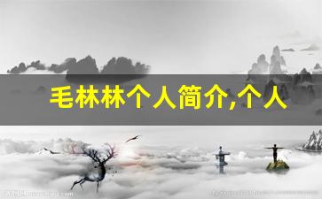 毛林林个人简介,个人作品
