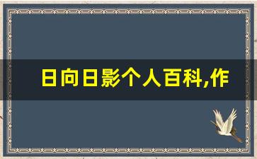 日向日影个人百科,作品资料