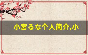 小宮るな个人简介,小宮るな个人作品大全