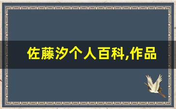 佐藤汐个人百科,作品资料